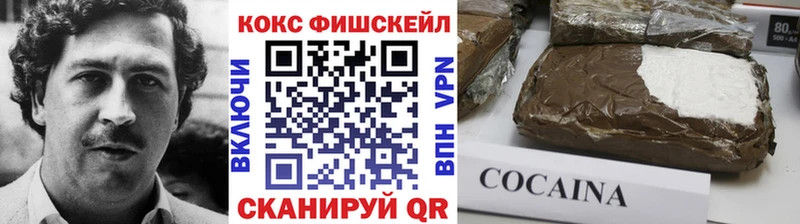 где можно купить наркотик  Улан-Удэ  COCAIN FishScale 