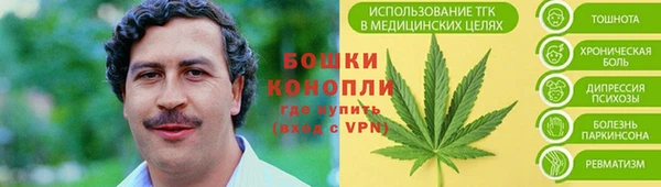 дурь Богданович
