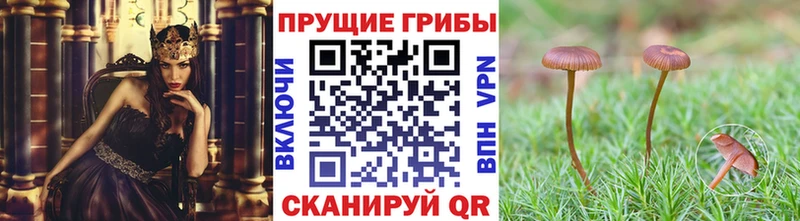 Галлюциногенные грибы мухоморы  Улан-Удэ 